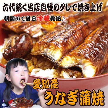 【送料無料】鰻トロセット（愛知産うなぎ蒲焼き[大1尾]と生ネギトロ[200g]のセット）　　　　　[お歳暮ギフト/お中元ギフト/父の日/敬老の日/国産/お中元ギフト/ランキング/肴/酒/贈答/プレゼント/魚/ビール/おつまみ/ねぎとろ丼/02P03Dec16/ネギトロ丼/刺身/鰻蒲焼き]