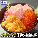 【ポイント5倍！5/22 10時まで】超豪華！高級海の幸の3色丼セット！うに いくら 大トロ 4人〜5人前！ 送料無料 旦那様の誕生日にも！贅沢をふんだんしたい人にお勧め！還暦祝い 誕生日 マグロ いくら 醤油漬け うに 雲丹