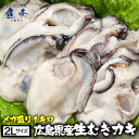 【2個買いで500円OFFクーポン！】かき カキ 牡蠣 大粒 広島産 剥きかき 1kg（解凍後約850g/30個前後 2Lサイズ） 送料無料 【注意】北海道、沖縄は追加送料を997円加算し、ご請求いたします。 生牡蠣 生むき牡蠣 広島牡蠣 剥き牡蠣