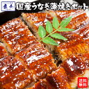うなぎ 国産 蒲焼き 4種 セット 土用 丑の日 送料無料 鹿児島県産 ウナギ 鰻 薩摩川内 父の日 食べ物 食品 惣菜 母の日ギフト 間に合う プレゼント 還...