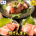 【ポイント最大10倍】鮪ざんまい3種 大トロ 中とろ 赤身 まぐろ マグロ 鮪 刺身 海鮮 徳用 ねぎとろ ネギトロ 冷凍 鉄火丼 最安値挑戦 送料無料 激安 ...