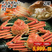 訳ありボイル ずわいがに 姿 特大 2尾 約1.2kg かに カニ 蟹 ズワイ蟹 ずわいがに ズワイガニ かに 姿 送料無料 かに鍋 お取り寄せ ボイルズワイガニ ズワイ ずわい蟹 ボイルズワイ ズワイガニ ボイル かにすき カニ鍋 蟹鍋 おかず セット