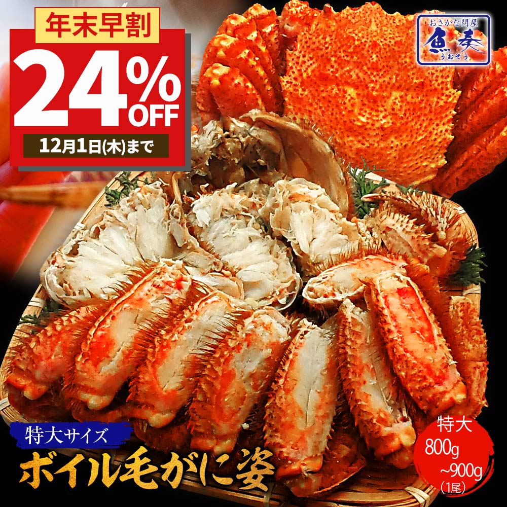 【早割特価6800円終了後8980円】お歳暮 ボイル 毛ガニ 姿 特大 800g〜900g かに カニ 蟹 毛がに 毛蟹 カニしゃぶ カニ鍋 かに 姿 激安 かにしゃぶ かに鍋 毛ガニ 姿 けがに kegani ボイル 訳あり セット 業務用