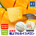 箱売り 高糖度 極上マルセイユメロン 約5kg前後(3~6玉) 赤肉 鳥取倉吉 秀・優品 産地直送 送料無料 大栄 melon