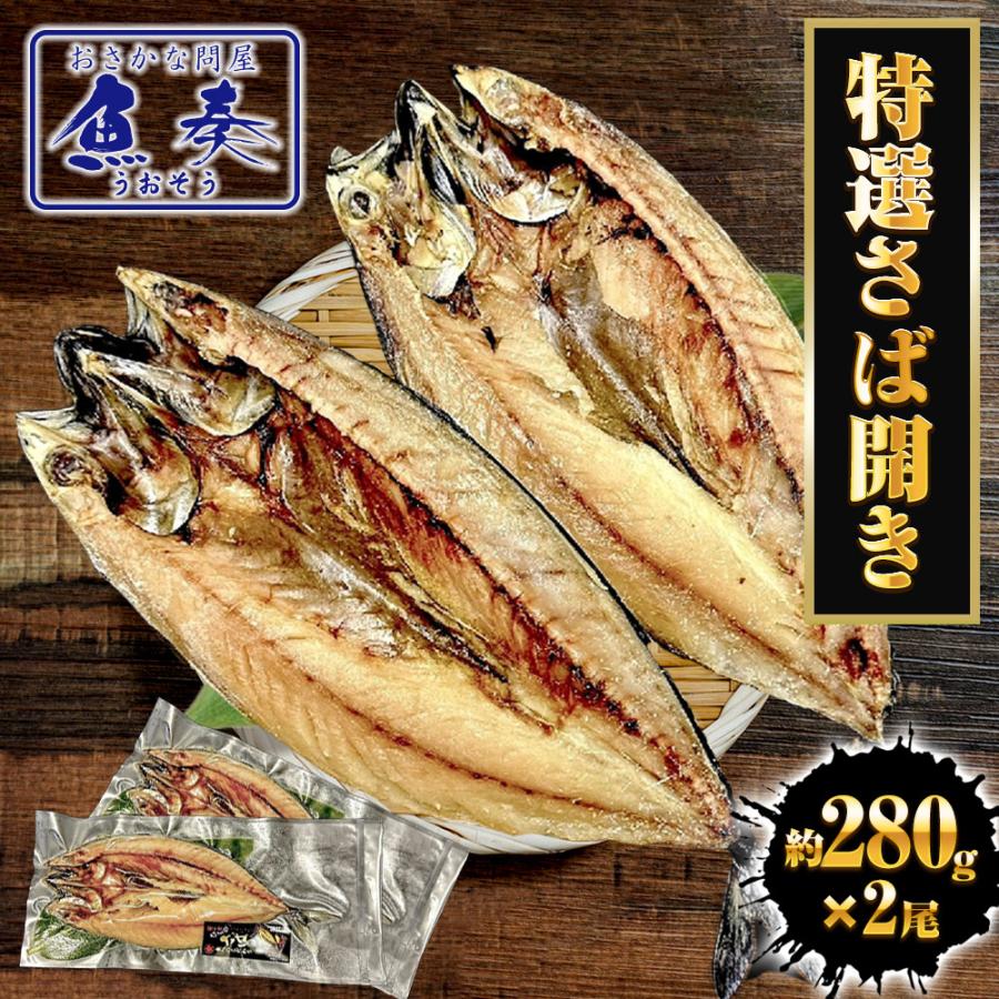 【ポイント最大10倍】送料無料! 特選さば開き 2枚(1尾約280g×2)1枚真空 笹の葉入りトロさば サバ開きさば サバ 鯖 一夜干し 干物 トロさば とろサ...