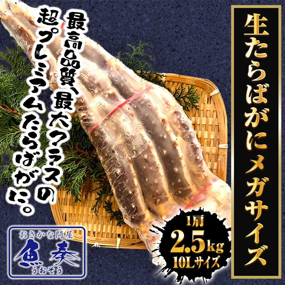 生たらばかに メガサイズ 10L 約2.5kg 超極太 セクション 1肩 特大 かに カニ 蟹 シュリンク たらば タラバ タラバガニ たらばがに 生 送料無料 年末 海鮮 冷凍 kani 脚 足 ギフト 2026 ホワイトデー