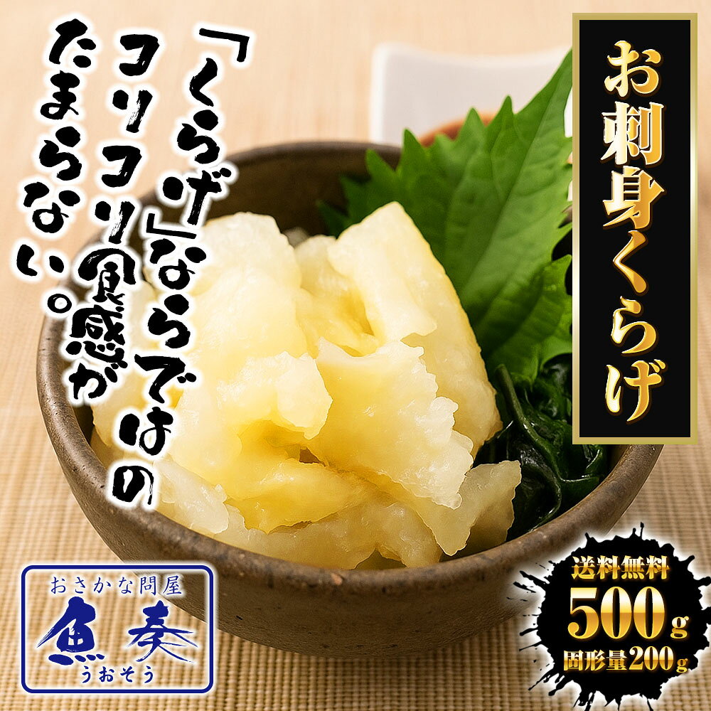 お刺身くらげ 500g（固形量200g） くらげ クラゲ 海月 タレ付き おさしみ 海鮮 サ...
