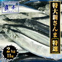 【エントリーでポイント10倍】 特大生さんま 2kg(11尾) 特選 送料無料 生食可能 さんま サンマ 秋刀魚 北海道 → 三陸 BBQ 敬老 敬老の日 ギフト進物 【他の商品と同梱不可、着日指定不可】【北海道、沖縄は追加送料997円をご請求いたします。】 特大新さんま 冷蔵 チルド