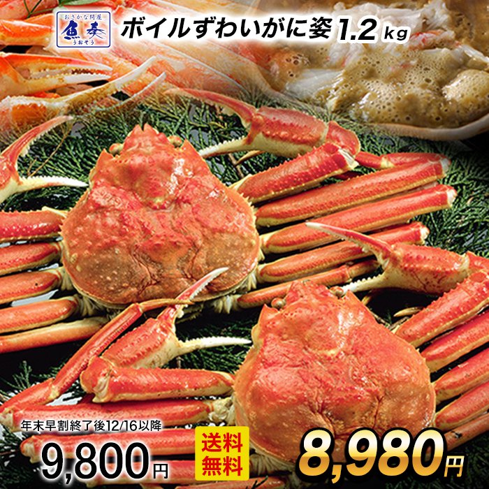 【早割★12/16 10時まで！】 訳ありボイル ずわいがに 姿 特大 2尾 約1.2kg かに カ ...
