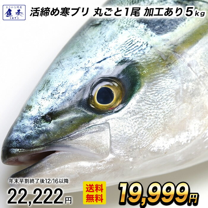 【早割★12/16 10時まで！】【加工あり まるごと1尾 約5kg】ぶり ブリ 鰤 寒ブリ 鹿児島 大分産 お刺身用 嫁ぶり チルド ぶりしゃぶ ぶり照り 【注意】北海道沖縄は追加送料を997円加算しご請求いたします。 お歳暮 2025 ギフト 御歳暮 おせいぼ