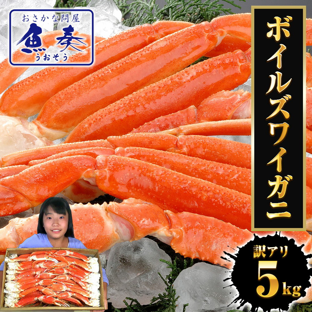 �ڹ�ڳ����ý��ۡں�ûȯ��������ۡ�ʣ���㤤�Ǥ����ʥ����ݥ�������� �ܥ��륺�磻���� 5kg ������ ���� ���� �� �� ���襤���� �ܥ��� ����̵�� ���ˤ�...