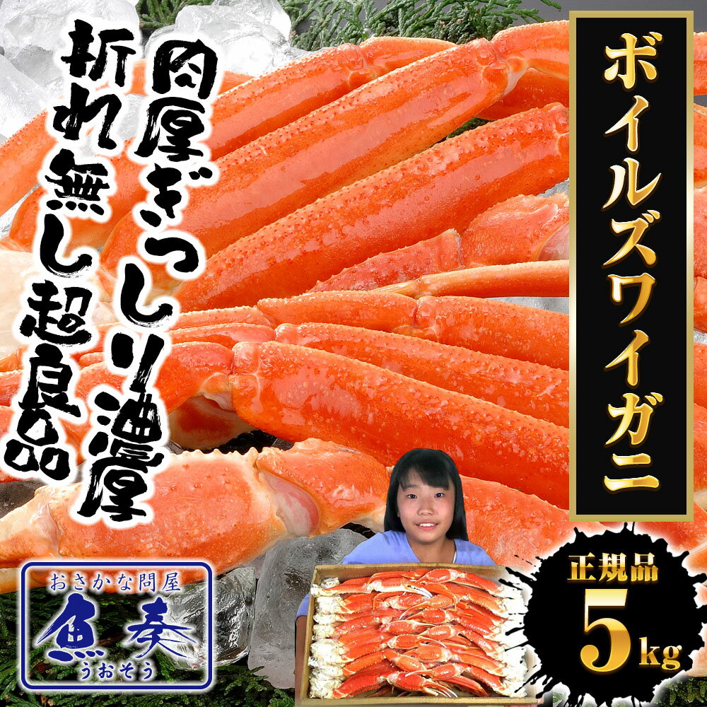 ボイルズワイガニ 【2L】 5kg かに カニ 蟹 脚 ずわいがに ボイル かにしゃぶ かに鍋 ズワイ ズワイガニ ボイルずわいがに カニしゃぶ ズワイ蟹 ずわい蟹 脚 足 特大 ギフト 2026 バレンタイン