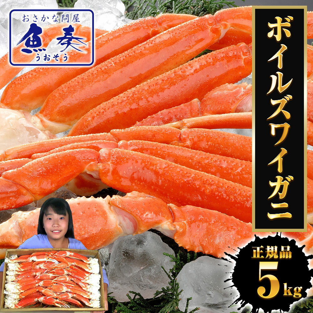 Z�ڹ�ڳ����ý��ۡ�20��OFF�����ݥ��24,239�ߡ� �ܥ��륺�磻���� ��2L�� 5kg ���� ���� �� �� ���襤���� �ܥ��� ���ˤ���� ������ ����...