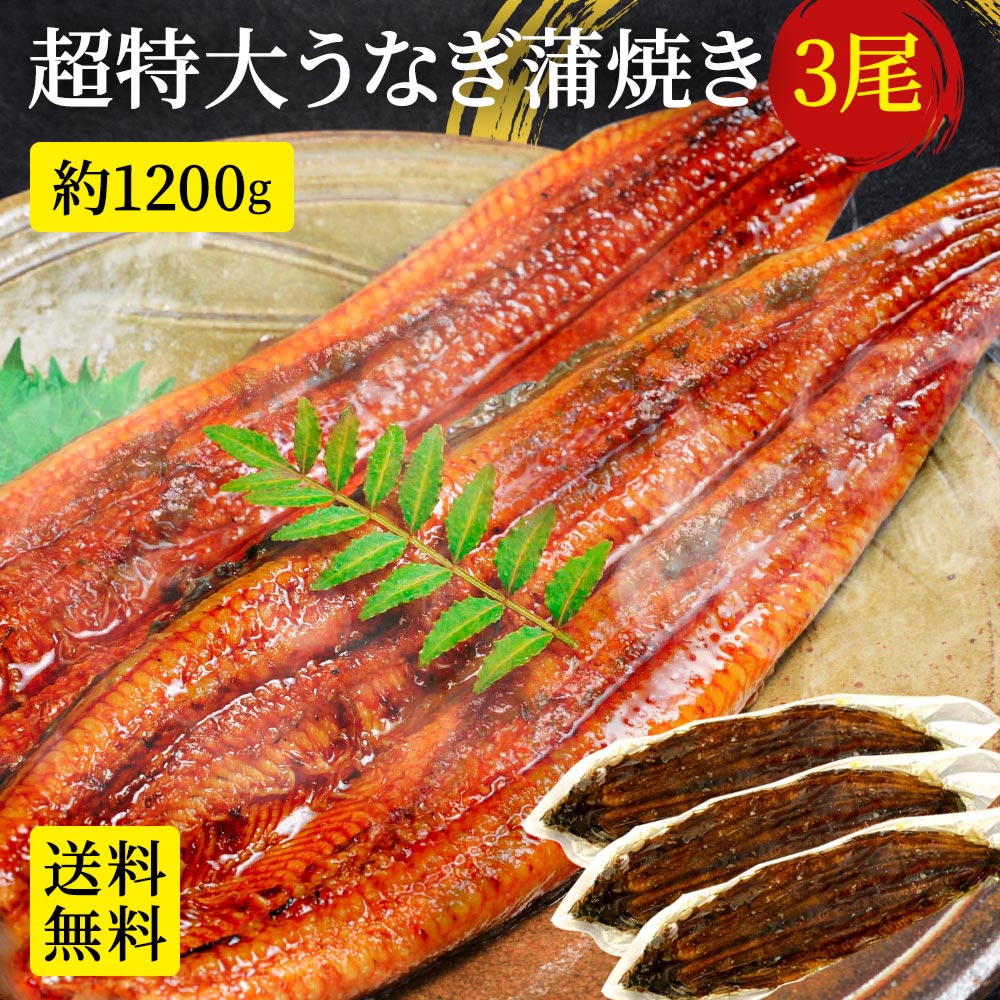 楽天おさかな問屋　魚奏　楽天市場店【複数買いでお得なクーポン】【超ウルトラビッグサイズ！380g～400g×3本！約1200g前後！】父の日 2024 ギフト 特大うなぎ ウナギ 鰻 蒲焼 送料無料 うなぎ長焼 訳あり 土用の丑の日 土用の丑