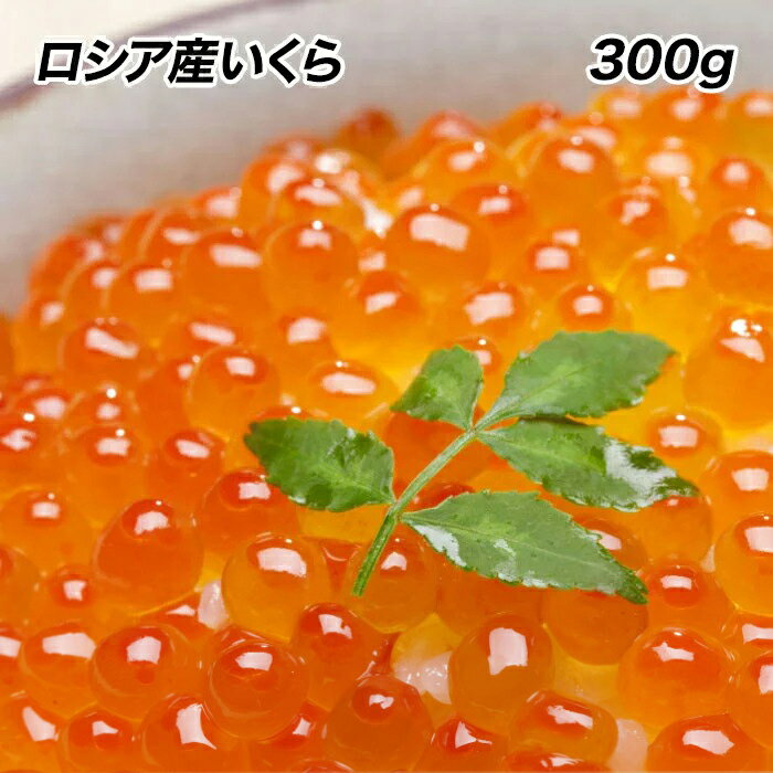 いくら イクラ いくら 醤油漬け 300g入り 期間限定 最安値挑戦 ロシア産 安価な鱒子ではありません 本いくら 【注意】北海道、沖縄は追加送料を997円加算し、ご請求いたします。 いくら 醤油漬け セット
