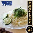 【ネコポス 送料無料 】 生麺冷やしうどん 5食 生めん ざるうどん 冷やしうどん 饂飩 ウドン ポスト投函 生麺 簡単 土用丑 中元 ギフト スタミナ 取寄せ メール便 グルメ プレゼント 食品 取り寄せ ポイント消化 送料無料