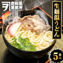 【ネコポス 送料無料 】 生麺温うどん 5食 生めん うどん 130g×5玉 饂飩 ウドン 生うどん ポスト投函 生麺 簡単 土用丑 中元 ギフト スタミナ 取寄せ メール便 グルメ プレゼント 食品 取り寄せ ポイント消化 送料無料