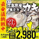 【2個買いで500円OFFクーポン!】【 最安挑戦!限界価格...