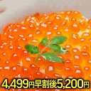【早割4499円終了後5200円】【 最安挑戦!限界価格でご...