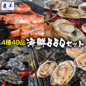 【期間限定7980円】バーベキューセット 海鮮 ゴールデンウィーク BBQ 海鮮 超豪華バーベキューセット 赤エビ10尾 大あさり10枚 殻付き帆立10枚　桃こまち10枚 送料無料 バーベキュー お取り寄せ お試し 牡蠣 殻付き 殻付き牡蠣 おかず セット