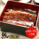 プレゼント 薩摩川内 国産炭火焼うなぎ長焼き 徳大サイズ 約160〜170g×3尾 国産うなぎ 蒲焼 土用 丑の日 お試しセット 送料無料 鹿児島 ウナギ 鰻 ...