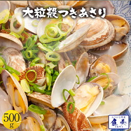 母の日 父の日 2024 ギフト 大粒あさり貝 同梱推奨 あさり 浅利 アサリ 500g ボイル真空 貝付 殻付 バター焼き パスタ お吸い物 味噌汁 大粒 旬期凍結品 セット バーベキュー バーベキューセット BBQ BBQセット バーベキュー用 キャンプ 海鮮バーベキュー