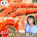 ボイル タラバ 蟹 特大 1kg 箱潰れ タラバガニ 脚 1kg たらばがに 2?3人前 送料無料 タラバ蟹 海鮮身入りの良い5L(特大)サイズ 総重量1kg前後 かに カニ たらば タラバ たらば蟹 タラバガニ お歳暮 2025 ギフト 海鮮 魚 魚介類 御歳暮 おせいぼ