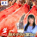 生 タラバ 蟹 特大 3kg 特大 タラバガニ 脚 3kg たらばがに 7?9人前 タラバ蟹 かに カニ 身入りの良い5L 特大 生たらば たらば 生タラバ たらば蟹 セット 送料無料 お歳暮 2025 ギフト 海鮮 魚 魚介類 御歳暮 おせいぼ