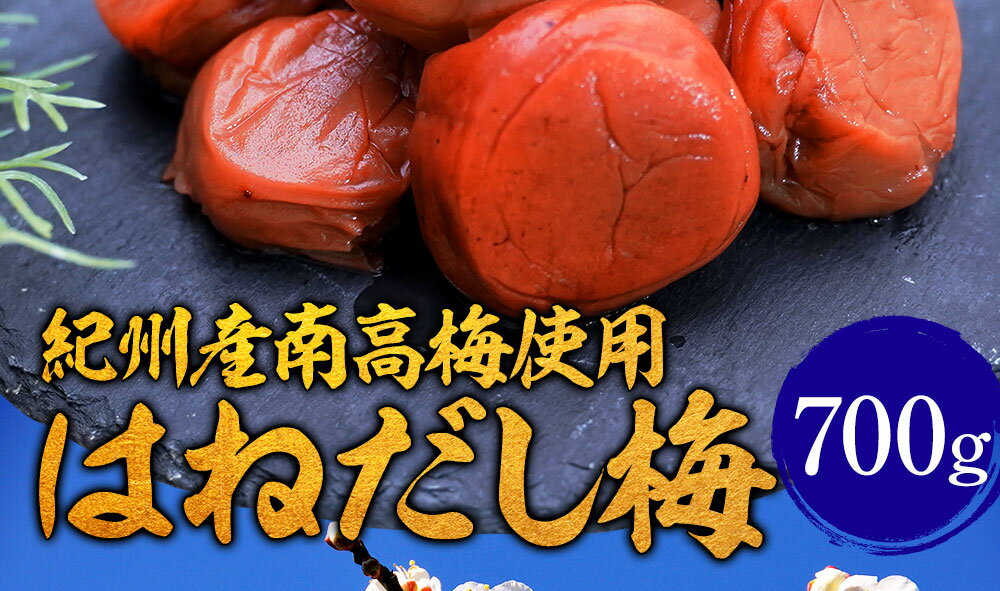 紀州南高梅使用はねだし梅（はちみつ梅） 700g【メール便ではなく、追跡可能ゆうパケット】梅干し つぶれ梅 送料無料 はちみつ梅干し 塩分8％ お試し セット業務用 食品 おかず お弁当 お取り寄せ お取り寄せグルメ 時短 時短ごはん 単身赴任 一人暮らし グルメ 食事 内祝い