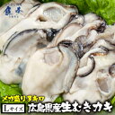 母の日 父の日 2024 ギフト かき カキ 牡蠣 大粒 広島産 剥きかき 徳用3kg（1kg×3パック）（解凍後約2.6kg/120個前後 Lサイズ注意)北海..