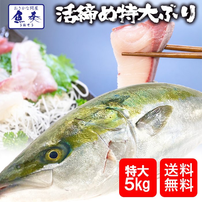 ぶり ブリ 鰤 寒ブリ 1尾 約5kg 鹿児島　大分産 お刺身用 送料無料 チルド ぶりしゃぶ ぶり照り 忘年会 お歳暮 おろし済み 贅沢グルメ 【注意】北海道、沖縄は追加送料を997円加算し、ご請求いたします。 お取り寄せ お試し ブリしゃぶ おかず セット