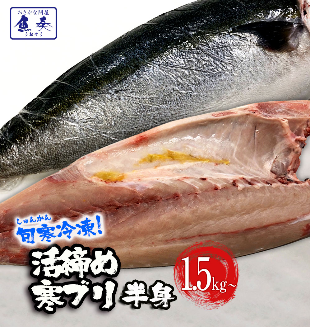 母の日 父の日 2024 ギフト 【冷凍配送】ぶり ブリ 鰤 寒ブリ 半身 約1.5kg～ 大分産 お刺身用 冷凍 ぶりしゃぶ 忘年…