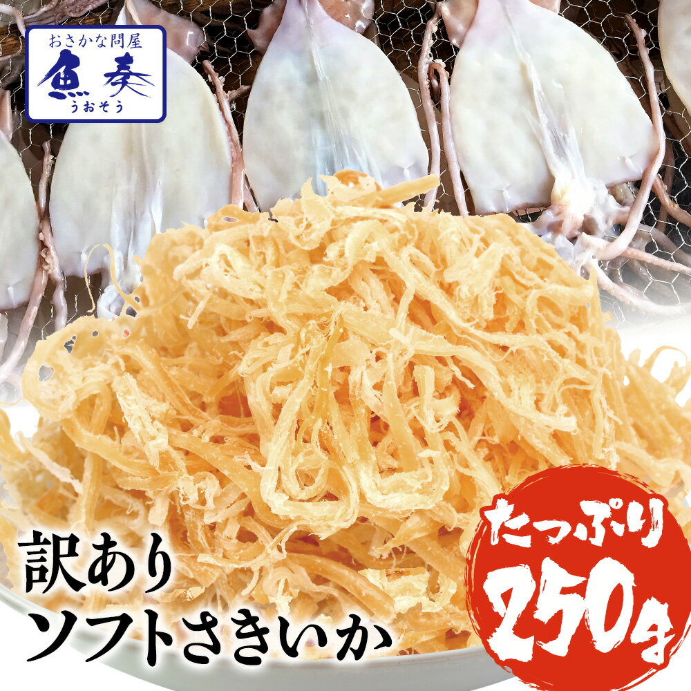 【期間限定！1,000円】 ソフトさきいか さきいか 珍味 250g 送料無料 訳あり ポッキリ おつまみ 酒の肴 メール便 セット 1000円ポッキリ 送料無料 1000円 ポッキリ ポイント消化