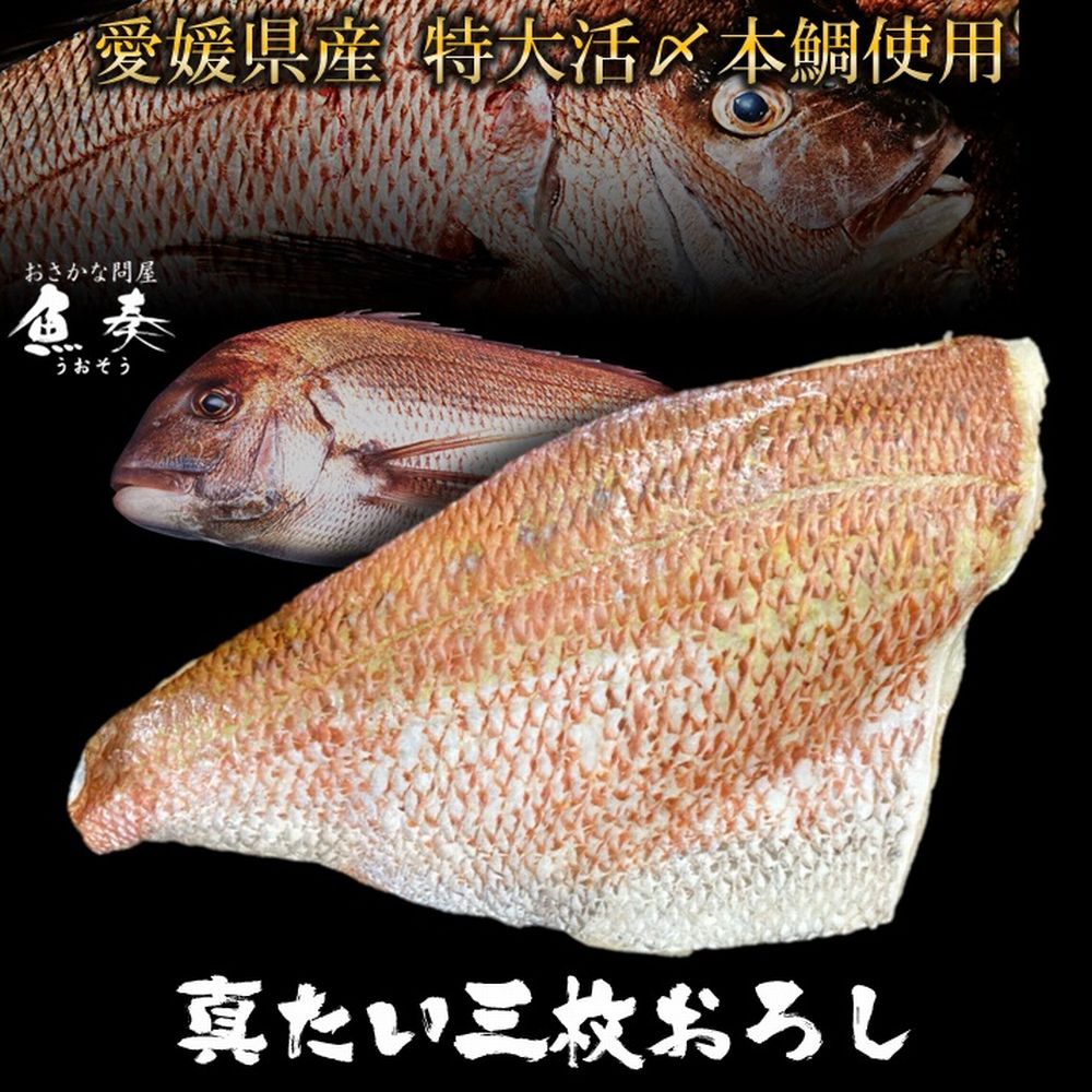 【ポイント最大10倍】たい タイ 鯛 真鯛 三枚おろし 特大サイズ タイフィーレ 本鯛 真たい 約350〜400g 鯛しゃぶ 刺身 国産 ごはん 食事 食べ物 ...