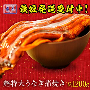 【超ウルトラビッグサイズ！380g〜400g×3本！約1200g前後！】特大うなぎ ウナギ 鰻 うなぎ蒲焼 送料無料 土用 丑の日 うなぎ長焼 訳あり 中国産 超ビッグサイズ！【12人前〜14人前】土用の丑の日 土用の丑 仕送り 業務用 食品 内祝い