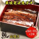 プレゼント 薩摩川内 国産炭火焼うなぎ長焼き 徳大サイズ 約160〜170g×2尾 国産うなぎ 蒲焼 土用 丑の日 お試しセット 送料無料 鹿児島 ウナギ 鰻 ...