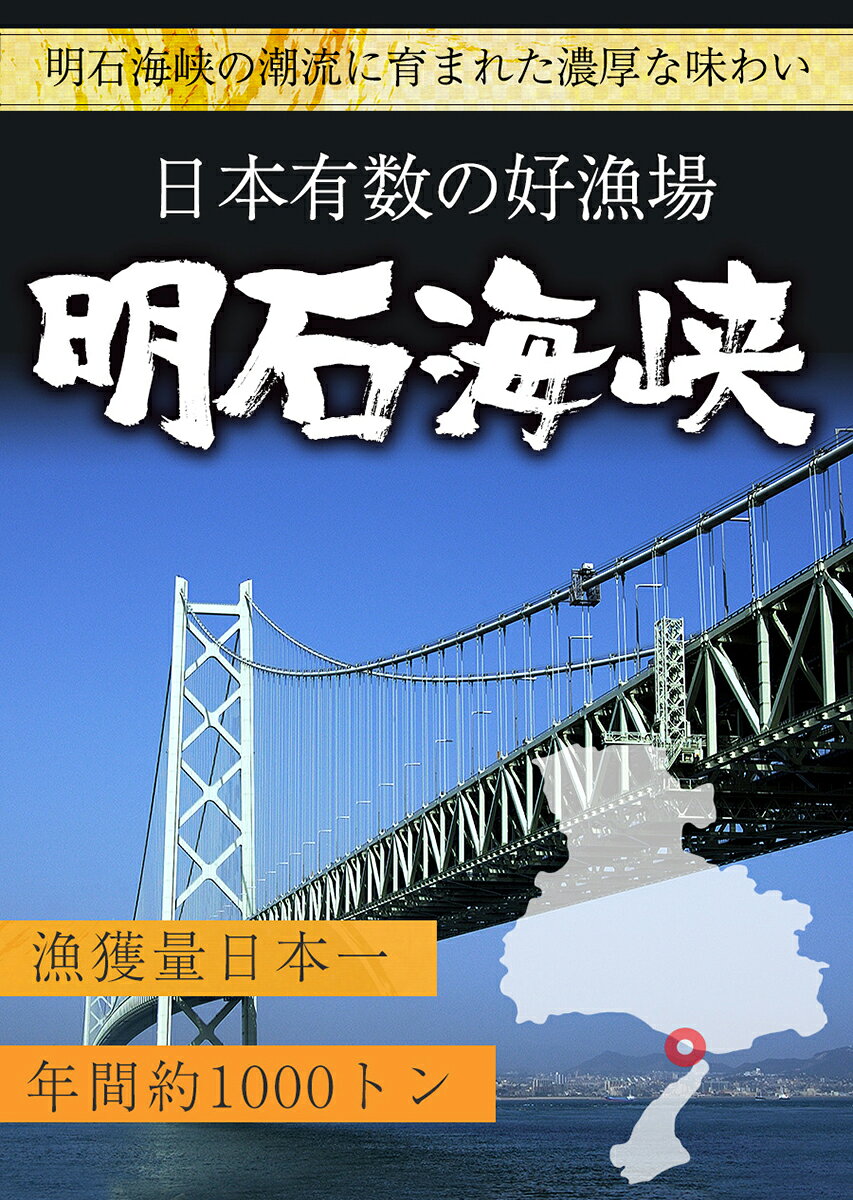 たこ タコ 蛸 明石産 ボイルたこ 500g 足だけ（約4〜6本） 明石たこ 真たこ 半夏生...