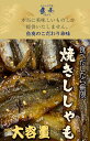 焼きししゃも 400g 送料無料 みりん干し 在宅 酒の肴 ごはん 食事 惣菜 詰め合わせ 2