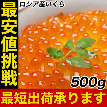 いくら イクラ いくら醤油漬け 500g入り 期間限定 最安値挑戦 ロシア産 送料無料 安価な鱒子ではありません 本いくら 【注意】北海道、沖縄は追加送料を997円加算し、ご請求いたします。 いくら 醤油漬け