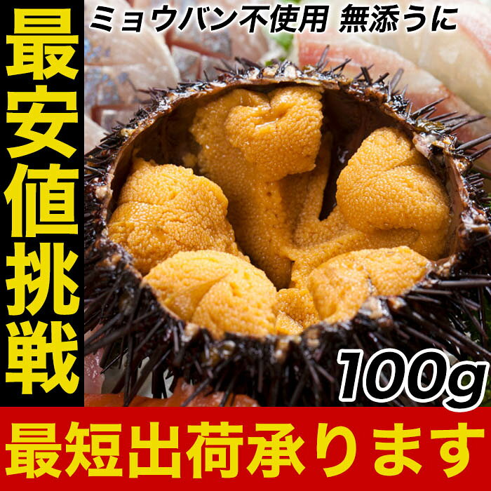 送料無料 うに 雲丹 ウニ 冷凍生うに 保存料無添加 AA 100gパック うに丼約2杯分のお試しサイズ【ウニ ウニ丼 刺身 うにパスタ うにスパゲッティ うに軍艦 ミョウバン不使用 セット ギフト 2026 uosou-10000053 おさかな問屋 魚奏 楽天市場店 サンプル画像2