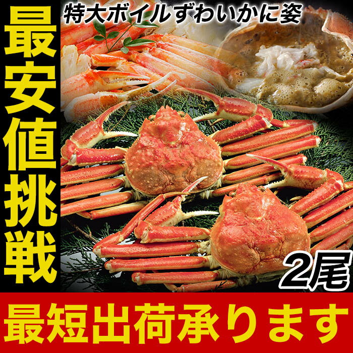 母の日 父の日 2024 ギフト 訳ありボイル ずわいがに 姿 特大 2尾 約1.2kg かに カニ 蟹 ズワイ蟹 ズワイガニ 姿 かに鍋 ボイルズワイガニ ズワイ ずわい蟹 ボイルズワイ　ボイル かにすき カニ鍋 蟹鍋 セット 送料無料