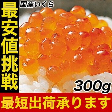 楽天最安値に挑戦 国産 三陸産 秋鮭卵を使用 送料無料 いくら イクラ 本いくら いくら醤油漬け 100g×3入り 期間限定 最安値に挑戦 国産 安価な鱒子ではありません。 お取り寄せ お取り寄せ お試し 三陸産 国産 送料無料 SS おかず セット