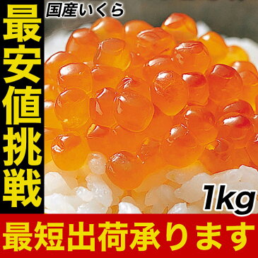 国産 三陸産 秋鮭卵を使用 いくら イクラ 本いくら いくら醤油漬け 業務用500g×2=1kg入り 期間限定 最安値に挑戦 国産 送料無料 安価な鱒子ではありません。 【注意】北海道、沖縄は追加送料を997円加算し、ご請求いたします。 SS おかず セット