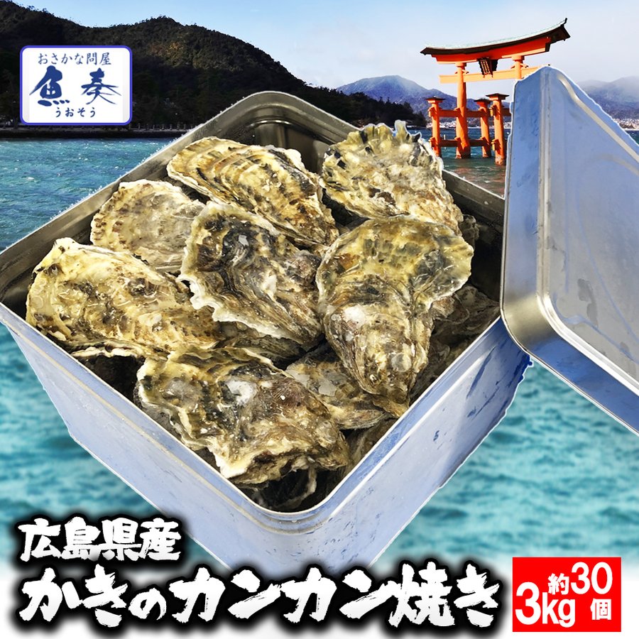 父の日 2024 ギフト 【期間限定4999円！】広島産 牡