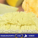 とろ〜りチーズ ふんわりイカ 訳あり のしいか 破格 メガ盛り 珍味 180g チーズいか 送料無料 酒の肴 在宅 おつまみ 訳アリ ごはん 食事 メール便