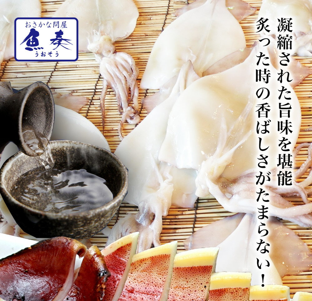 バーベキューセット イカ一夜干し 特大4枚(特大サイズ×4枚) 送料無料 真いか一夜干 烏賊 やわらか 居酒屋 大人気 最安値挑戦中 バーベキュー 海鮮 BBQ セット ごはん キャンプ 海鮮バーベキュー ギフト 2026 バレンタイン - Image 2