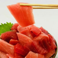 まぐろマグロ鮪訳あり訳アリ刺身まぐろ切り落し500g冷凍鉄火丼最安値