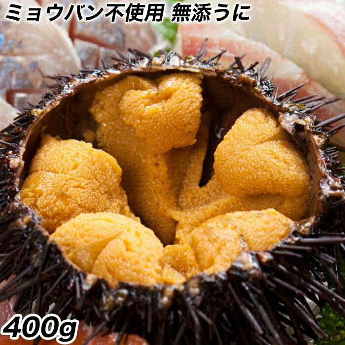 うに 雲丹 ウニ 冷凍生うに 保存料無添加 AA 100g×4パック 送料無料 うに丼約8杯分のお試しサイズ ウニ丼 刺身 うにパスタ うにスパゲッティ うに軍艦 ミョウバン不使用 セット ギフト 2026