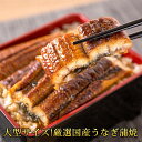 【送料無料】大型サイズ ふっくら柔らか 国産うなぎ 蒲焼き 1尾 (約2人前) 化粧箱入【鰻 ウナギ 丑の日 土用 蒲焼き 関西風 冷凍 贈答 ..