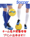 サッカー ソックス ストッキング ジュニア キッズ 子供用 大人用 練習着 靴下